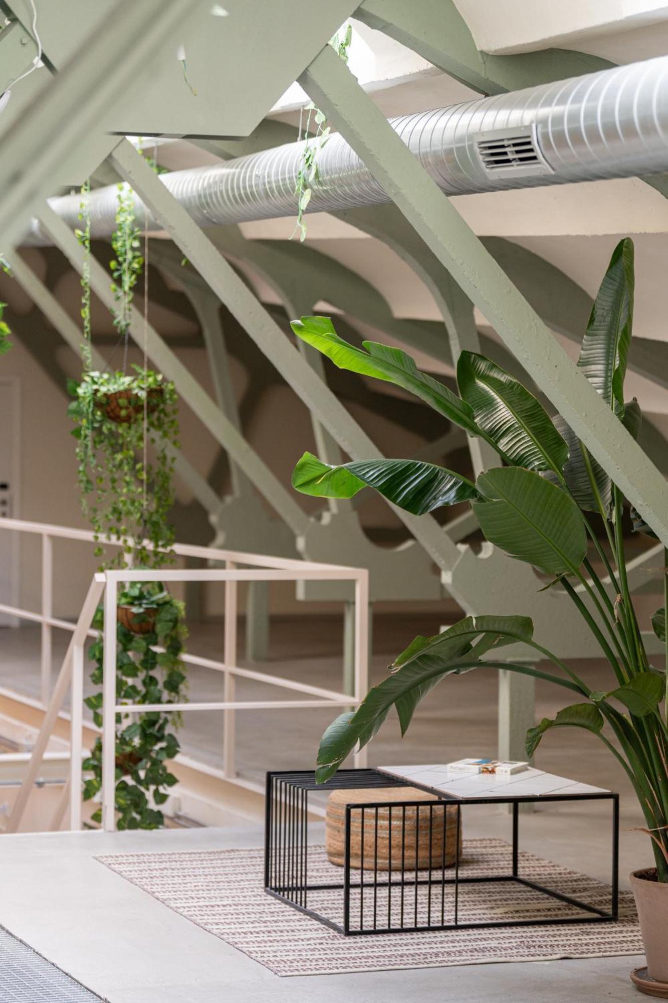 Ola Living Hostal Tetuan Madrid Exterior foto